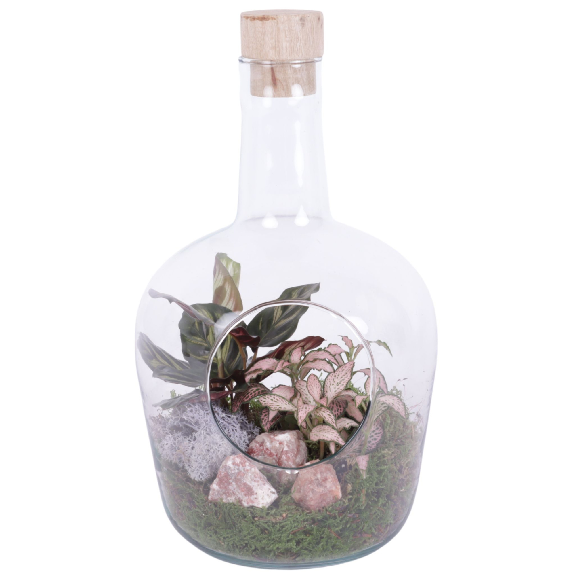 Yearround Arr. Indoor Glass Vase with Hole Ø18cm 2PP, D 18