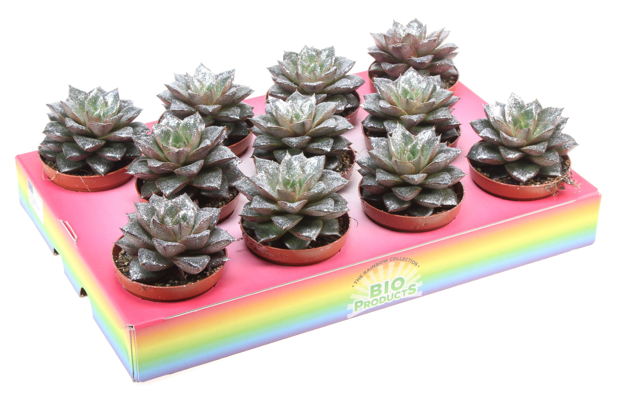 Bio purper naturel glitter, D 8,5