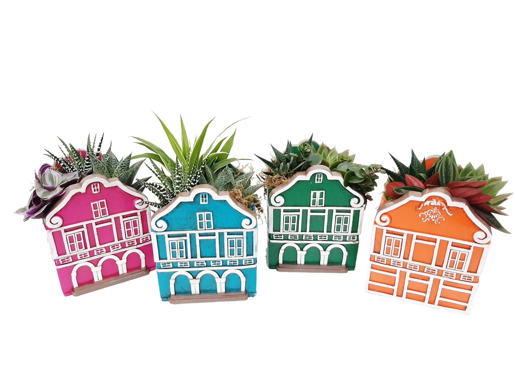 CASA C11 Casa Caribbean Groot, D 11 cm