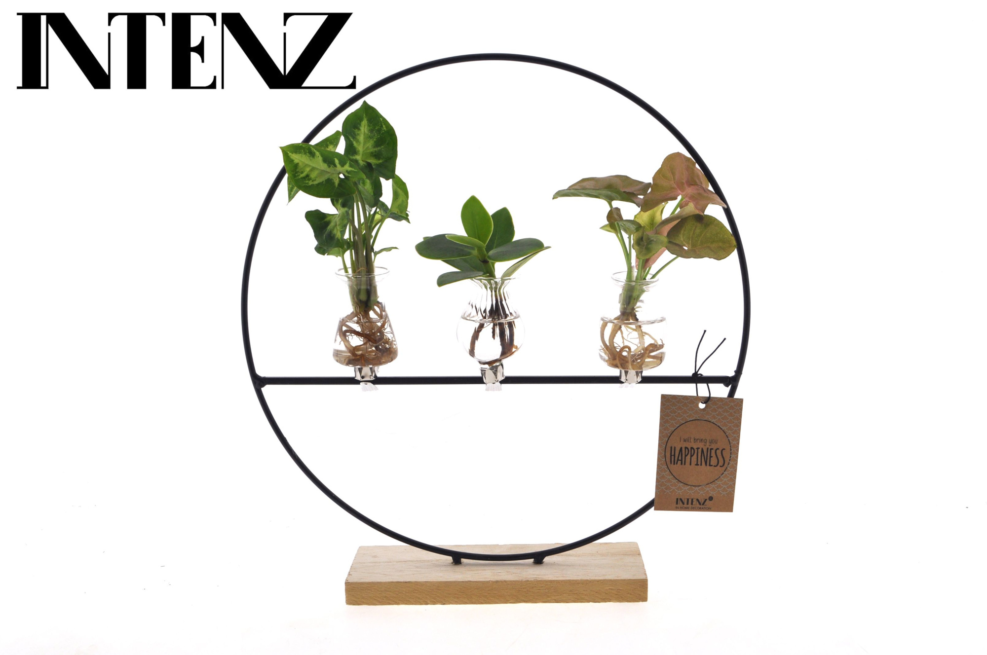 Intenz mix in Dubai glas(boog met 3 klipjes) - levertijd: 24 uur, D 12 cm