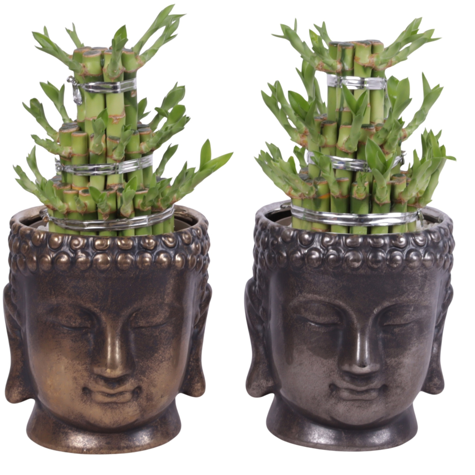 Lucky Bamboo Shape Round 3B in Ceramic Buddha Gold/Silver Ø15cm, D 15