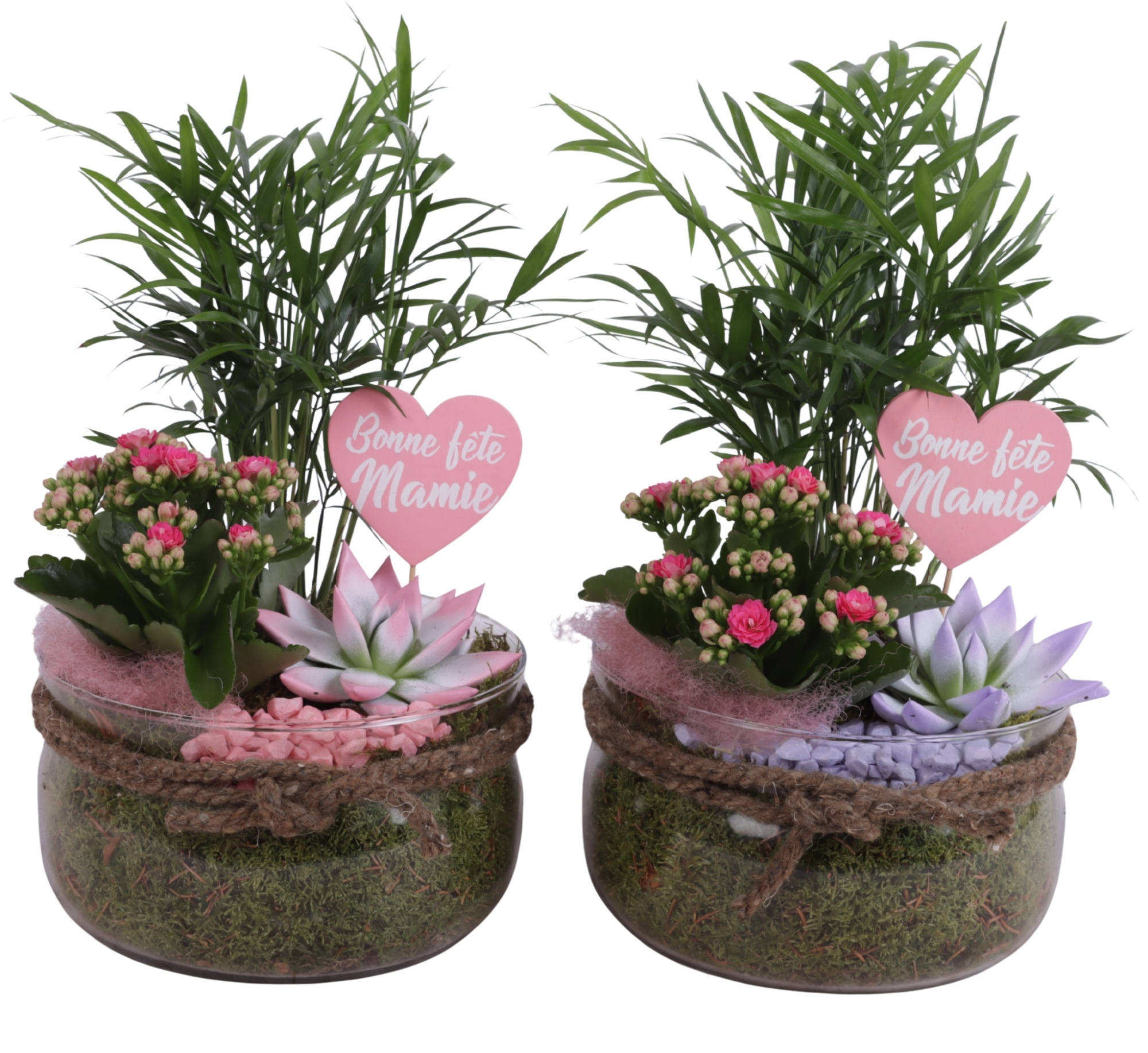 Grandmothers Day Arr. Indoor Glass Bowl with Rope Ø20cm 3PP, D 20