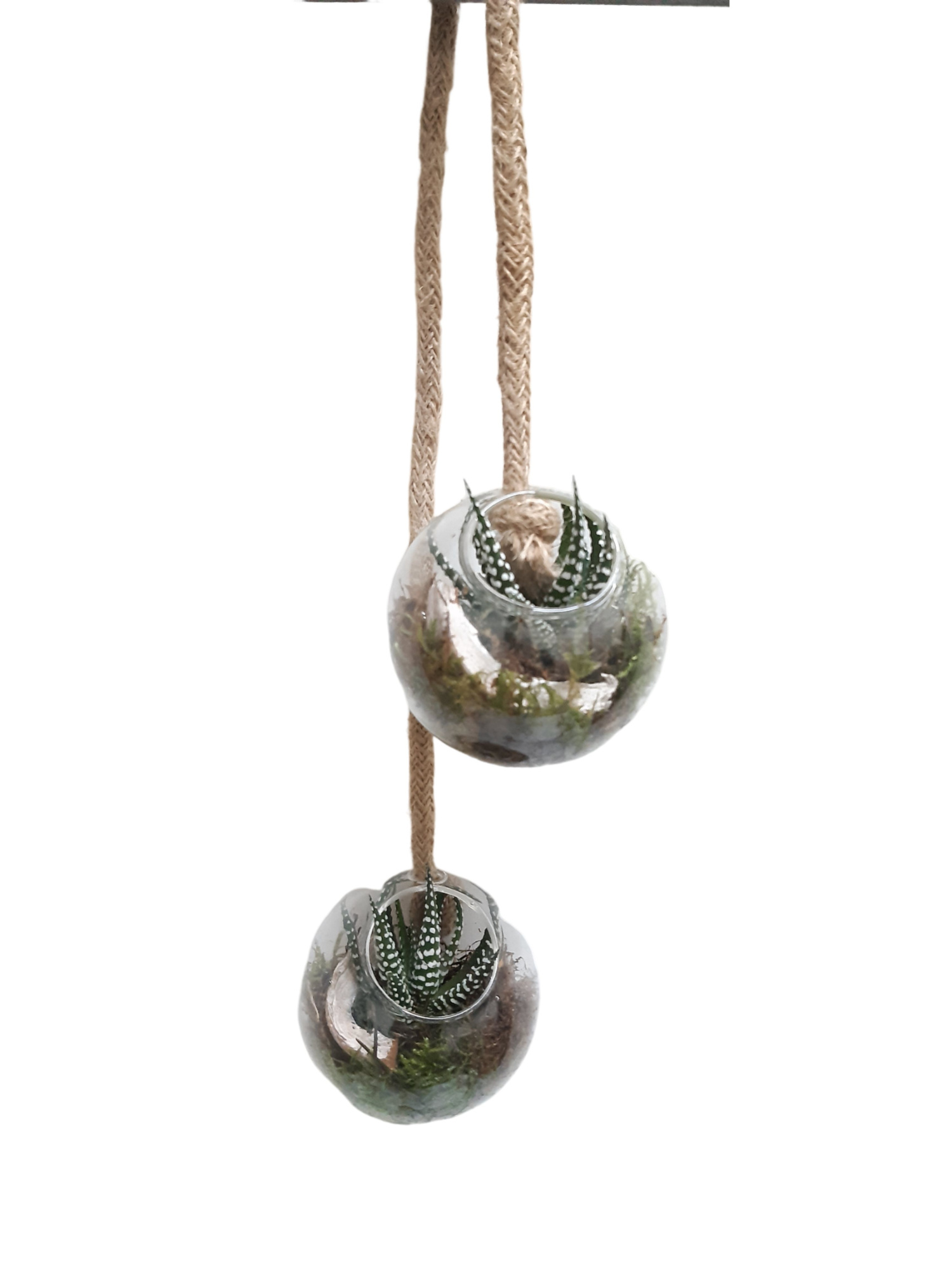 GBD9HBB Glasbowl double on Garland, D 8