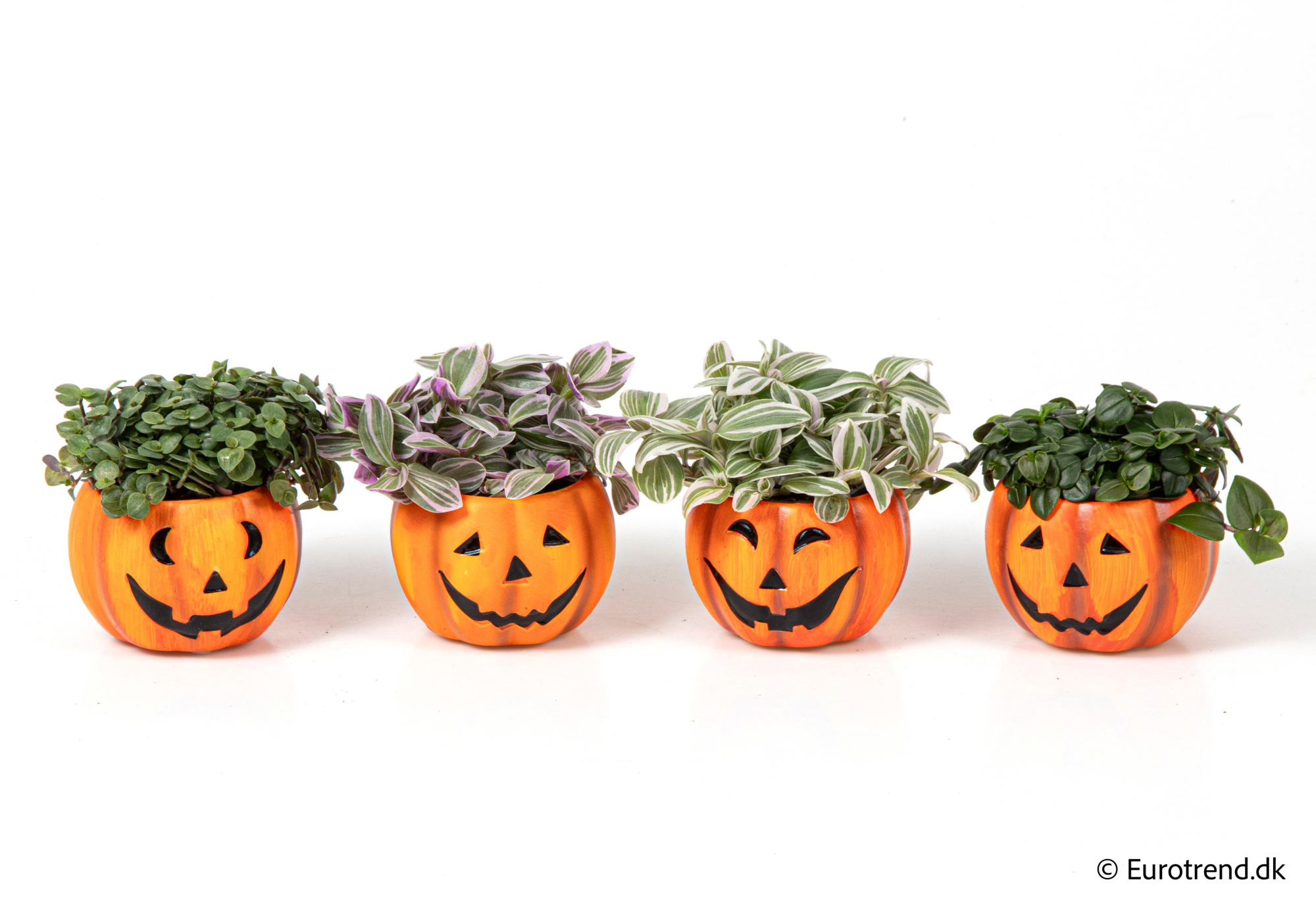 Green Mix in Halloween ceramic 2025, D 6 cm