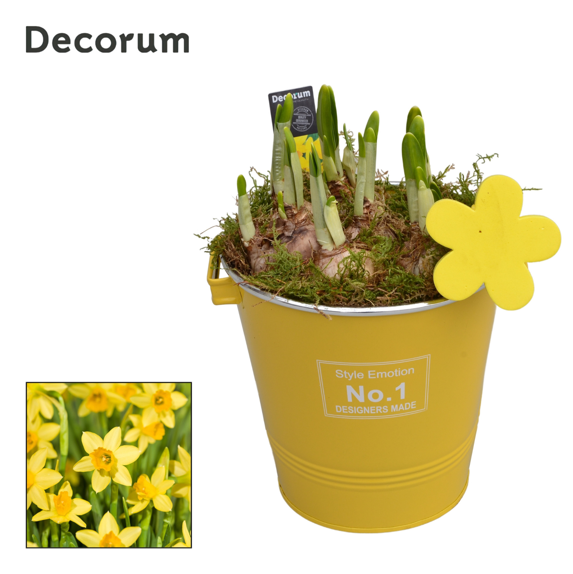 Narcis Colourful Bucket Maxi HL17593N, D 18