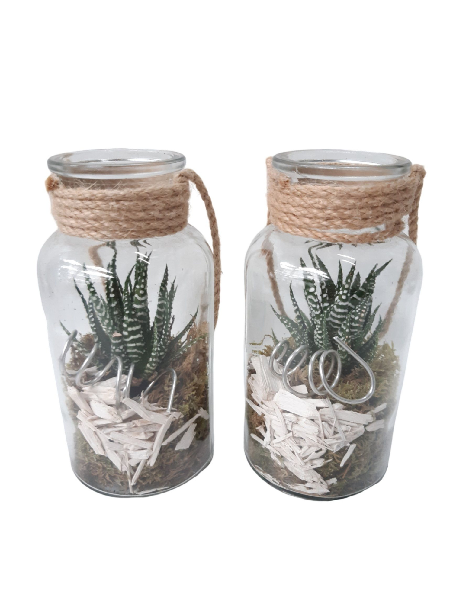 705 KST flesje 8/16cm Kerst, D 8