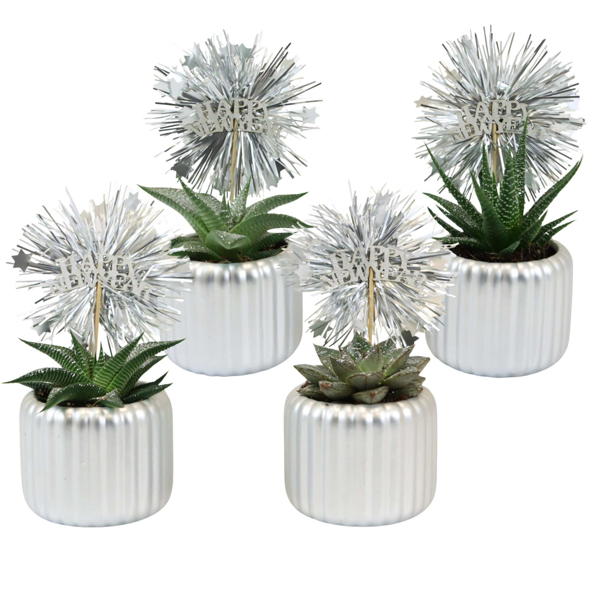 Vertical Silver with Glitter Succulent mix, D 6