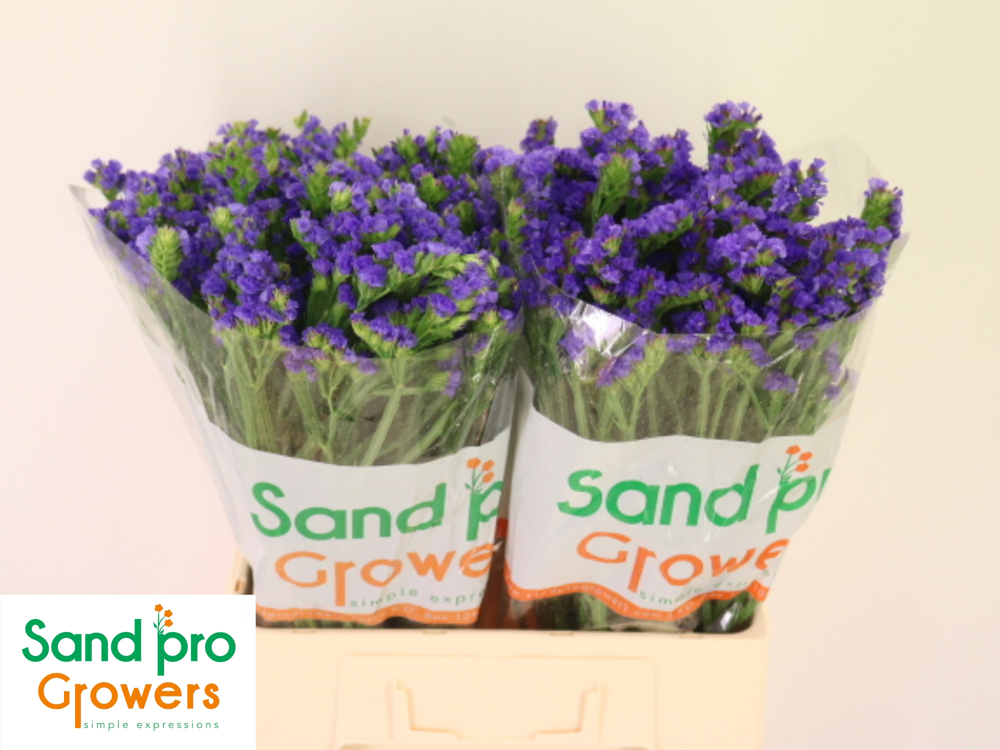 Статица Пиппа Вингз 60, шт.