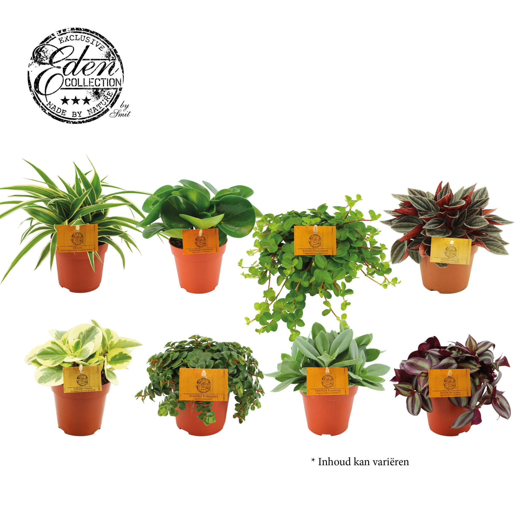 mix kar 12cm, D 12 cm