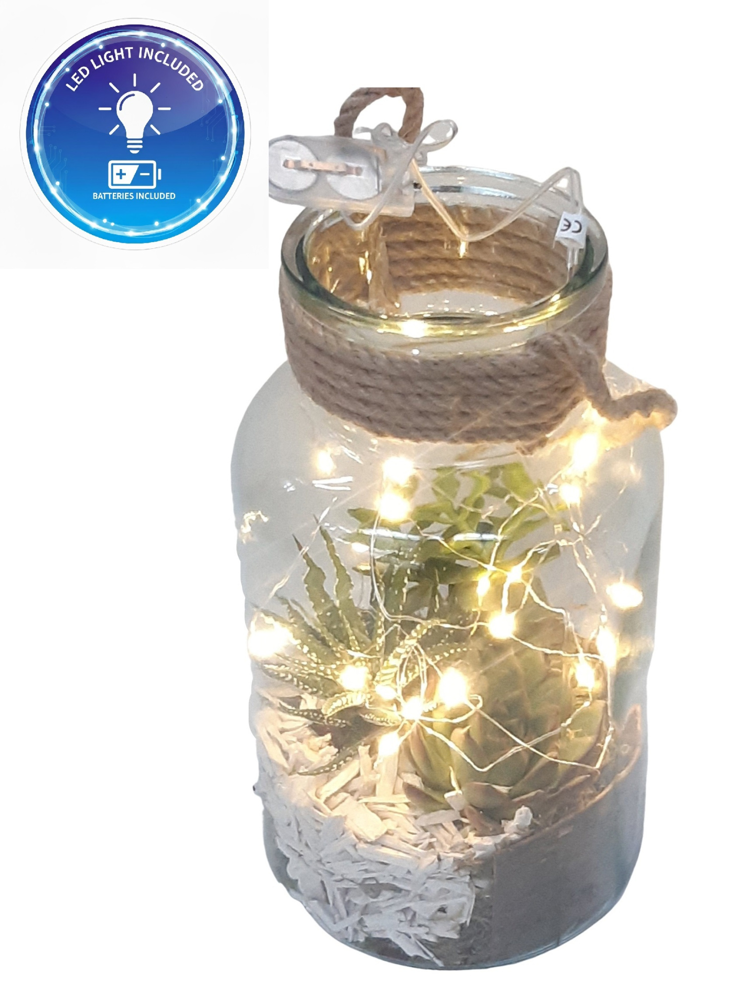 814LED Terrarium 14/26 mini Succulentmix LED light + Battery, D 14