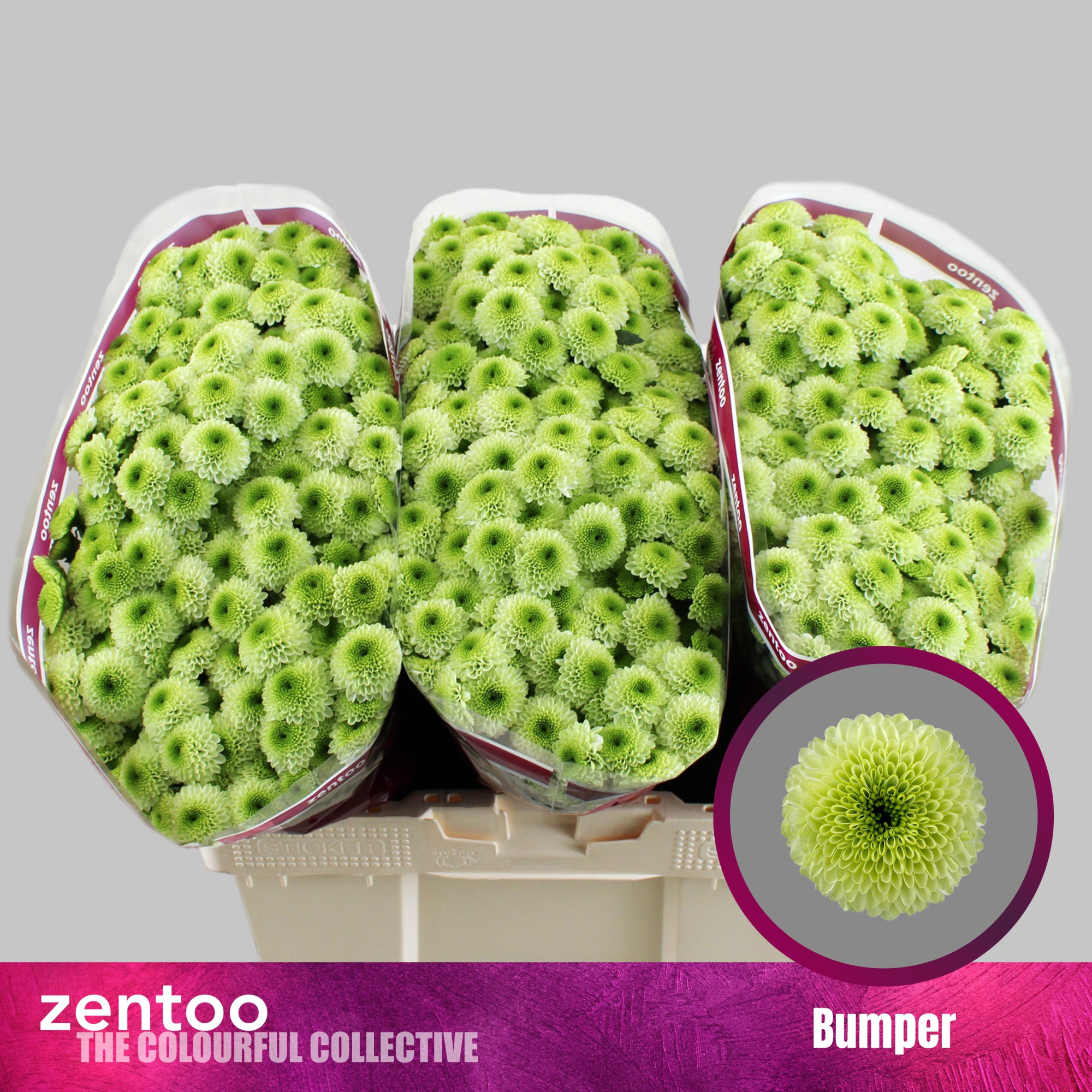 Сантини Бампер, шт.