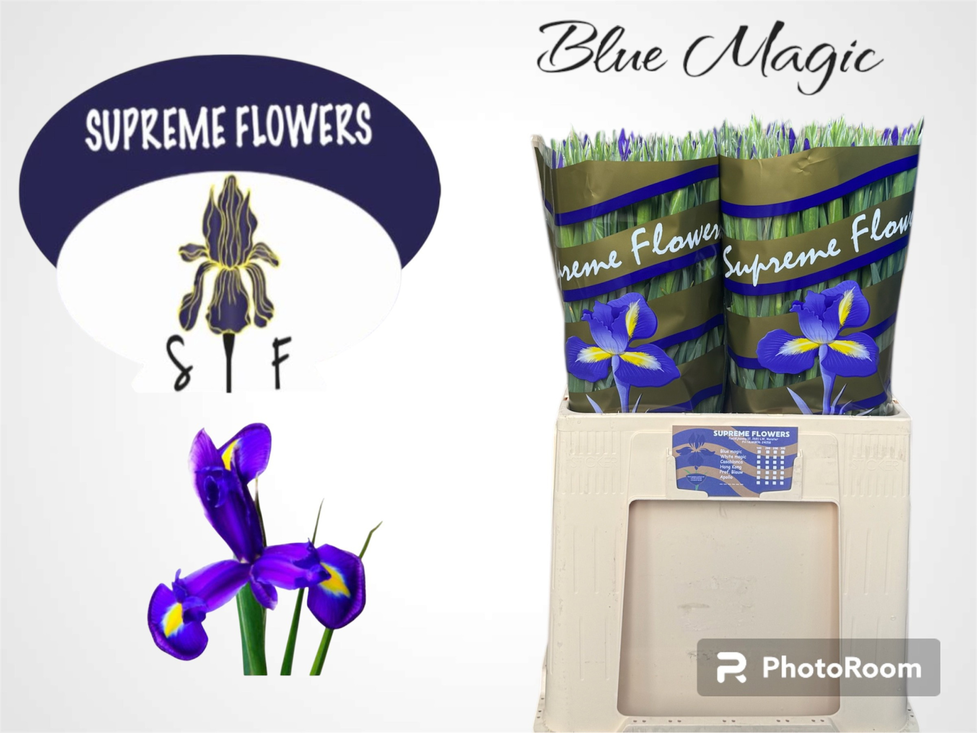 Ирис Блю Мэджик (син.), шт.