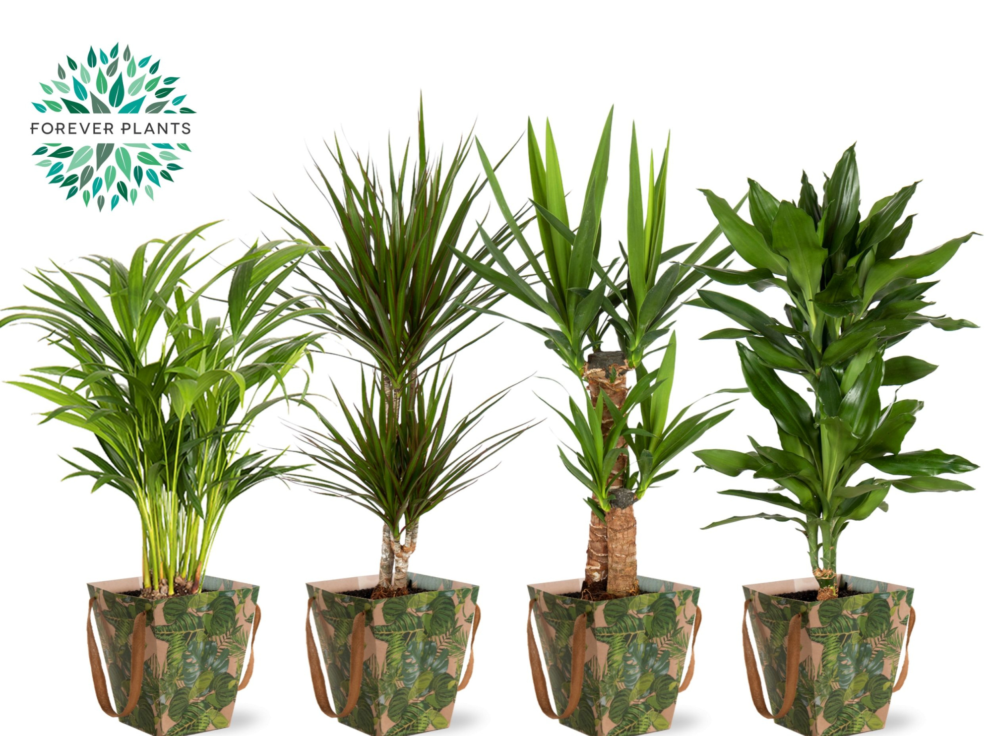 Groen Mix 17 in DRAAGTAS GREEN JEWELS, D 17