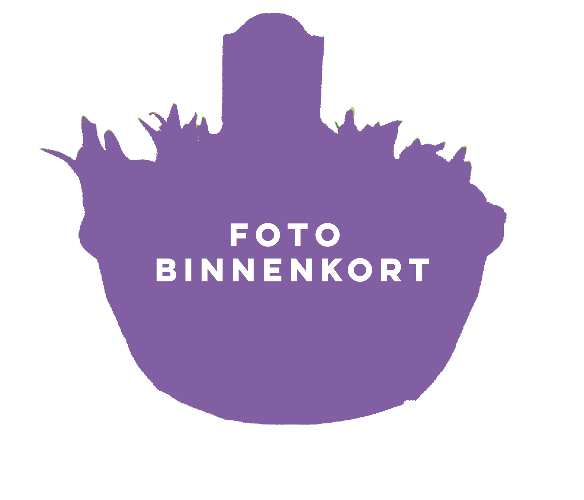 Narcissus Growers Beauty, D 23