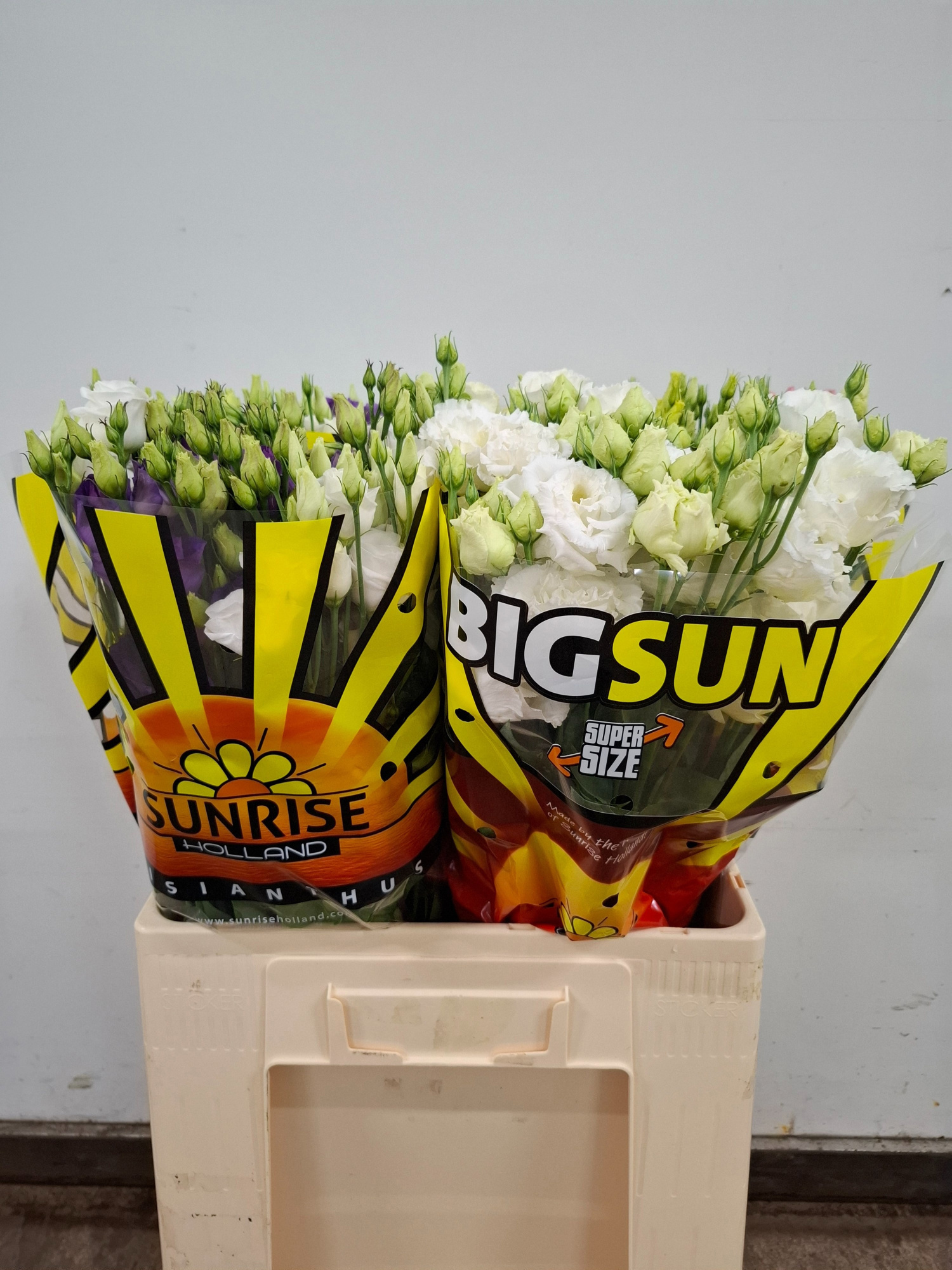 Эустома Грандифлорум Микс в баке 65, шт.