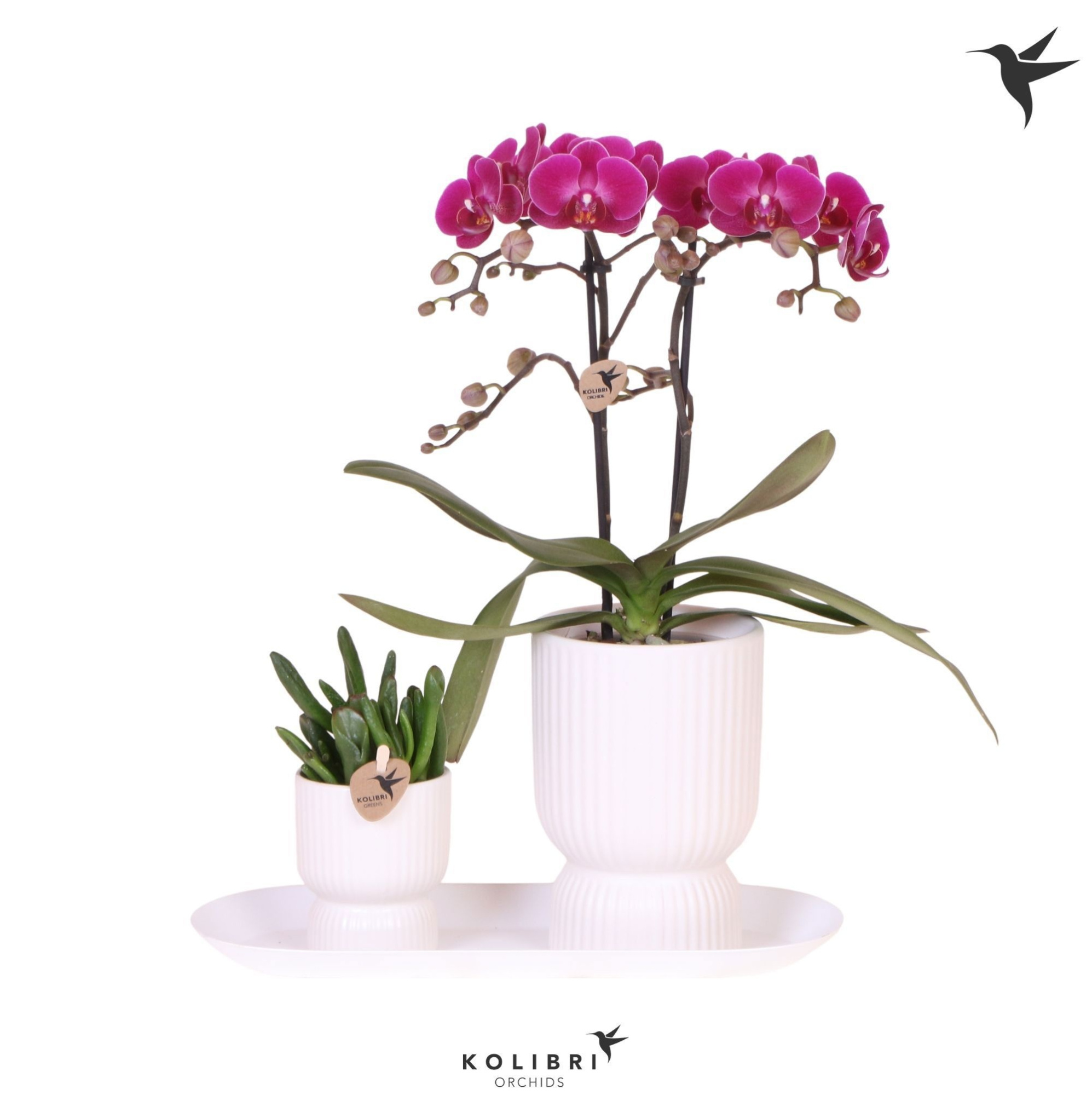 Kolibri Gift Set small Floral Blush, D 18