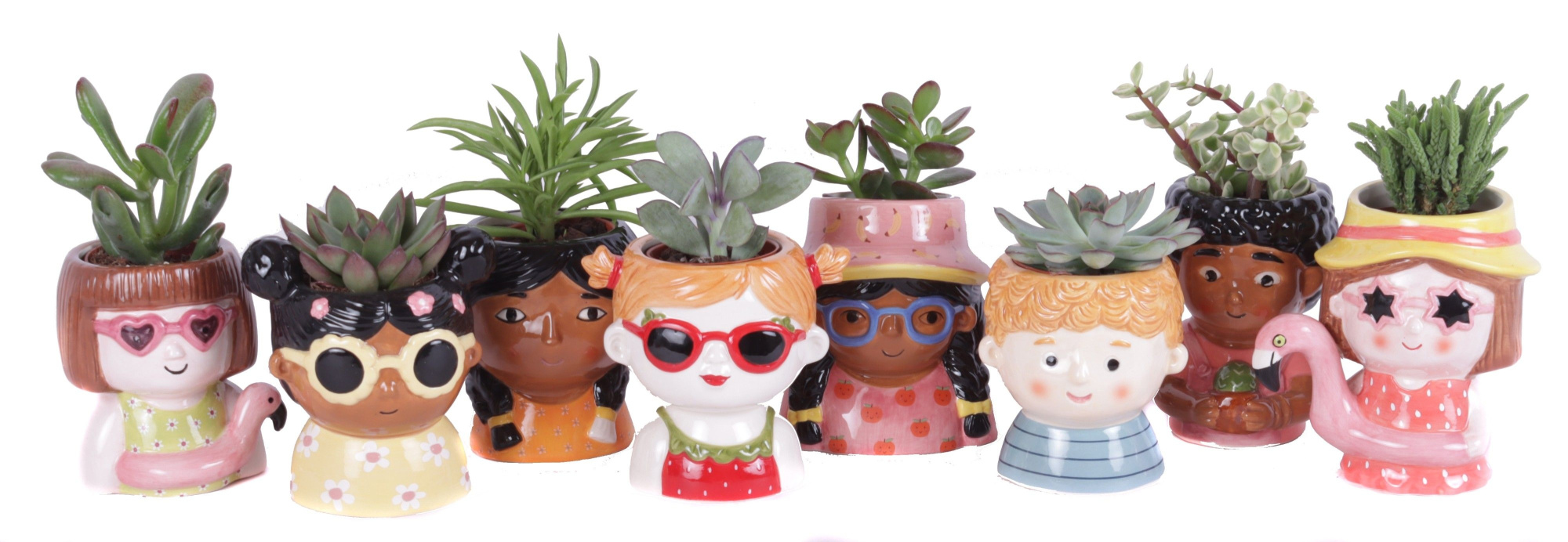 Succulenten mix 5,5 cm in happy face pot, D 11 cm