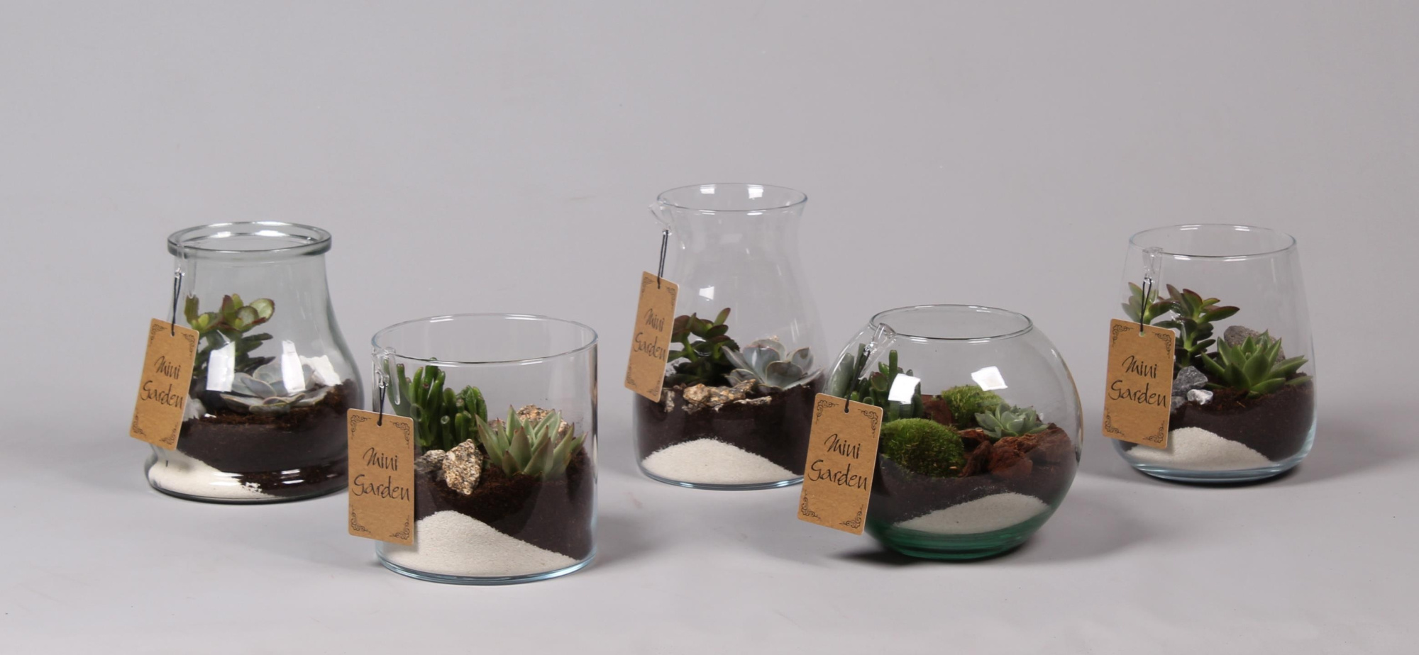 Glazen vazen mix met Succulenten, D 16