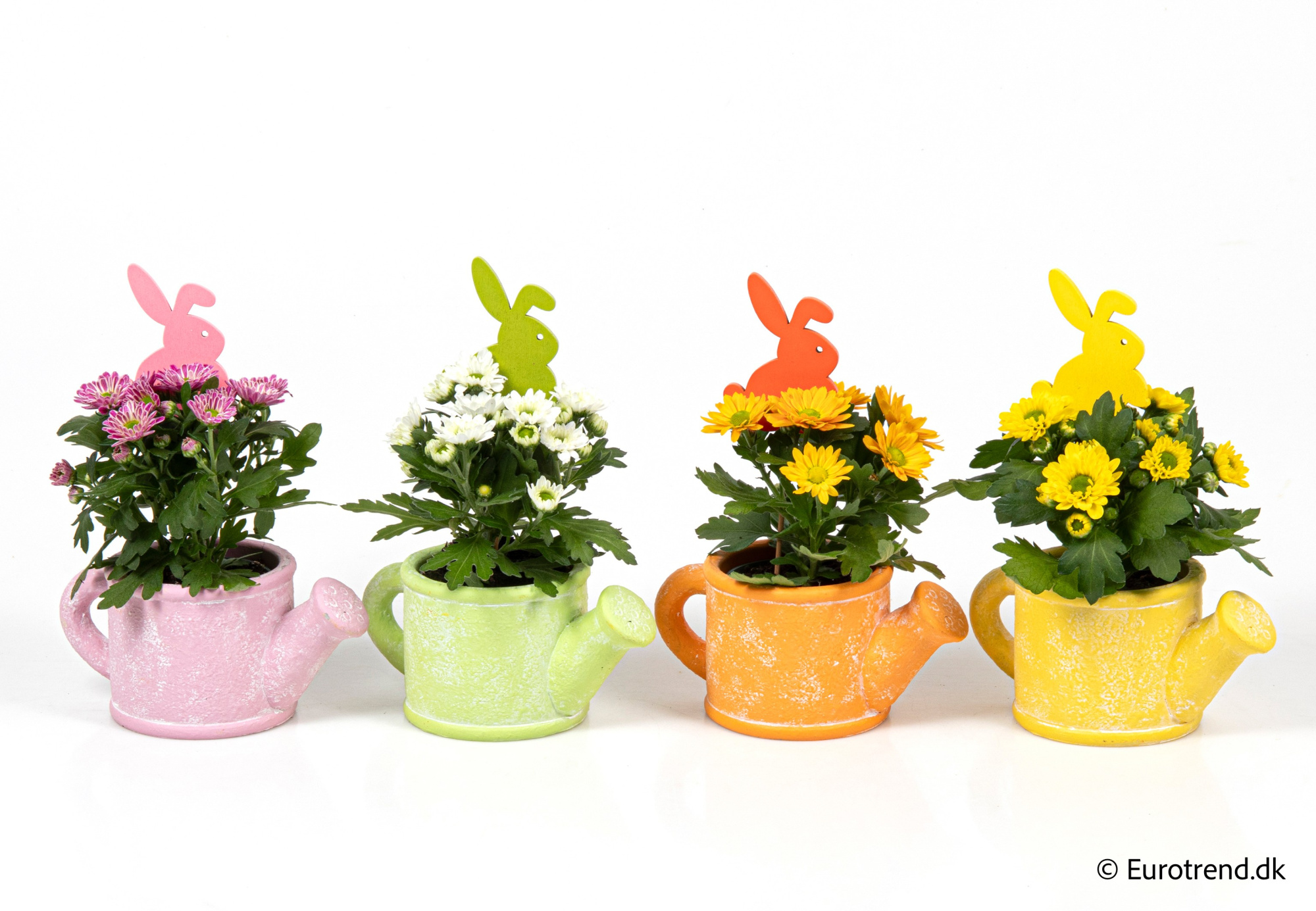 Chrysanthemum in Easter ceramic 2026, D 6