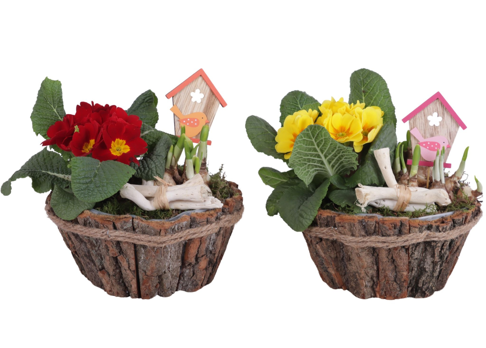 Early Spring Arr. Outdoor Wooden Bark Pot with Rope Ø20cm 2PP, D 20