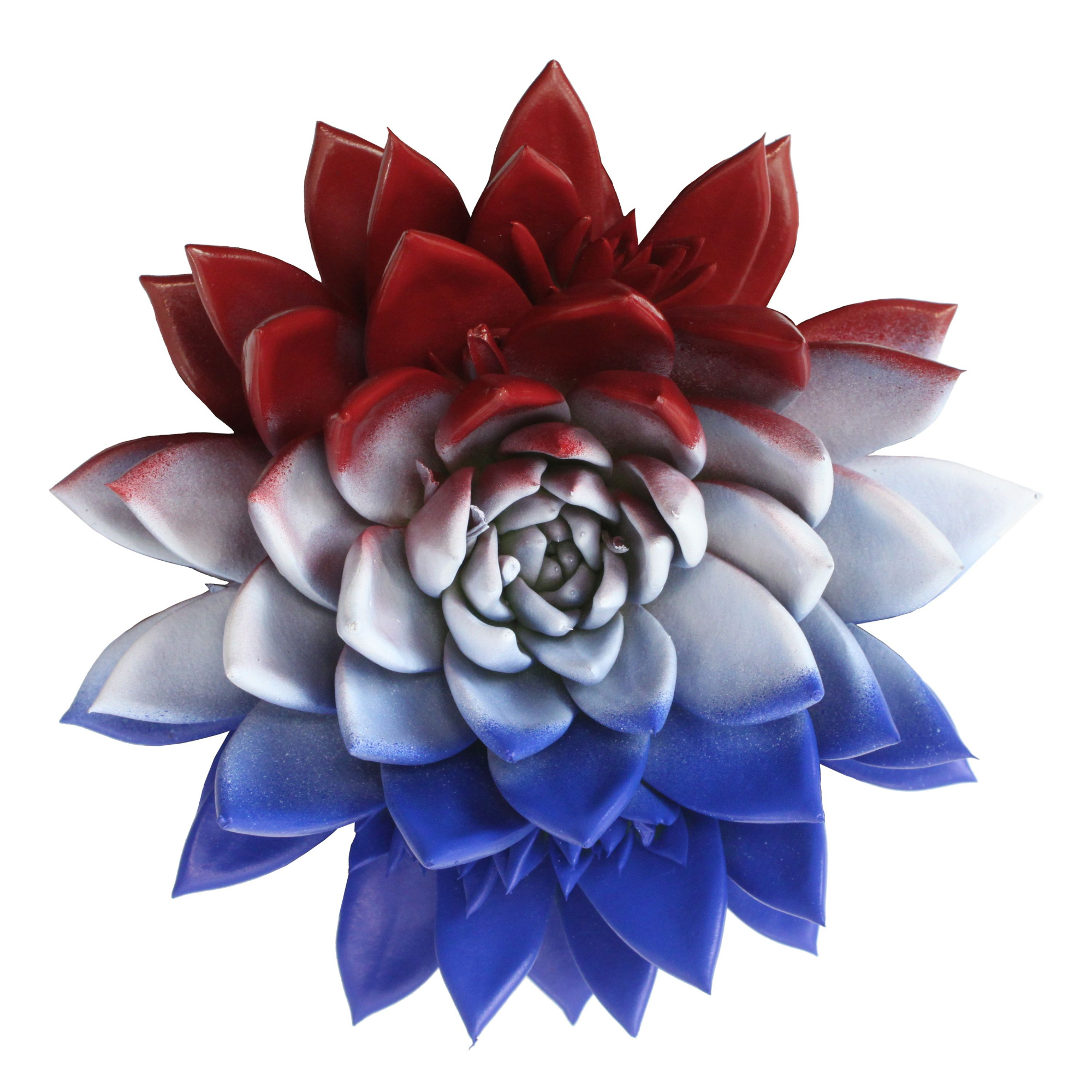 Miranda coloured flag Netherlands, D 10,5 cm