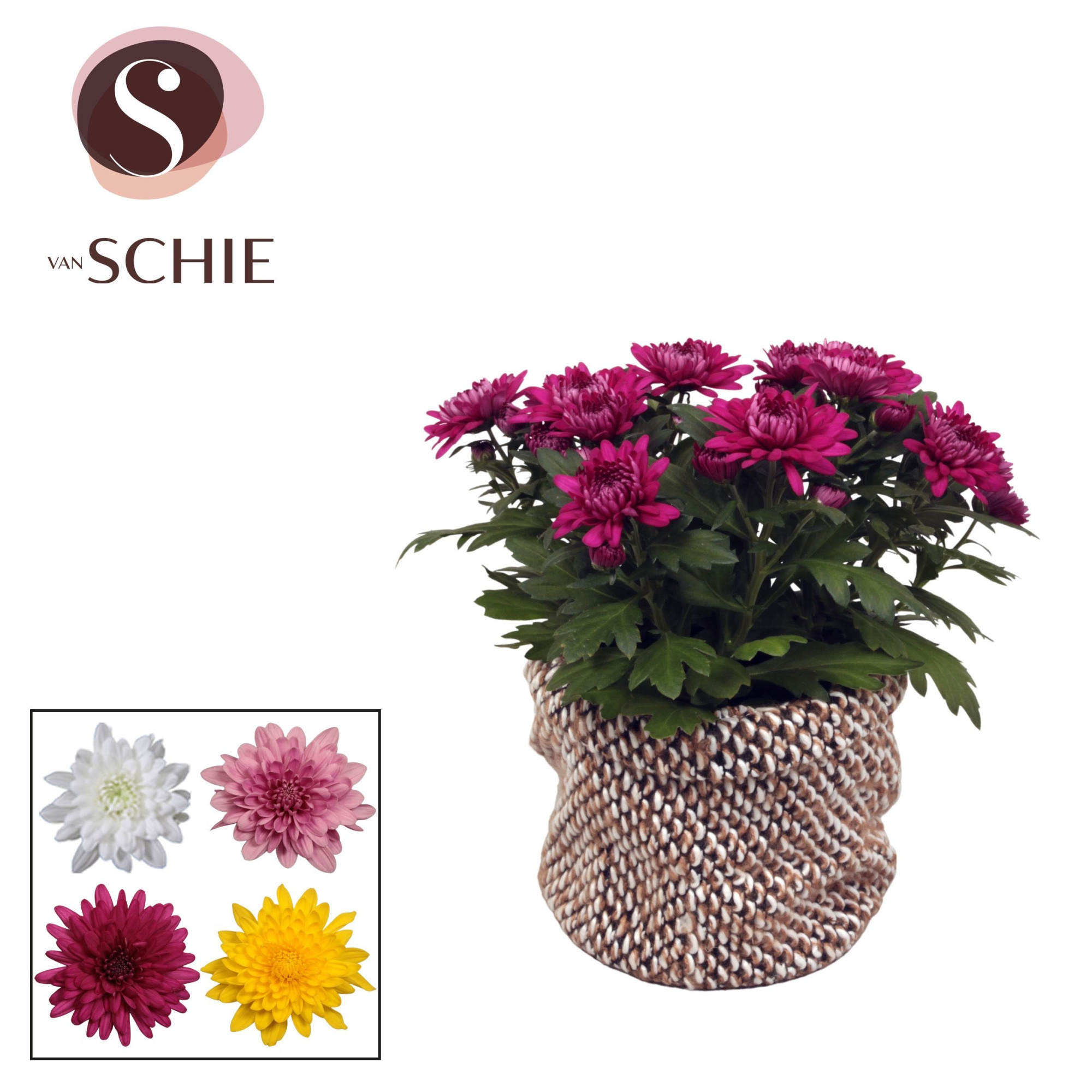 Chrysanne Grandezza Bag NATIVE, D 13 cm