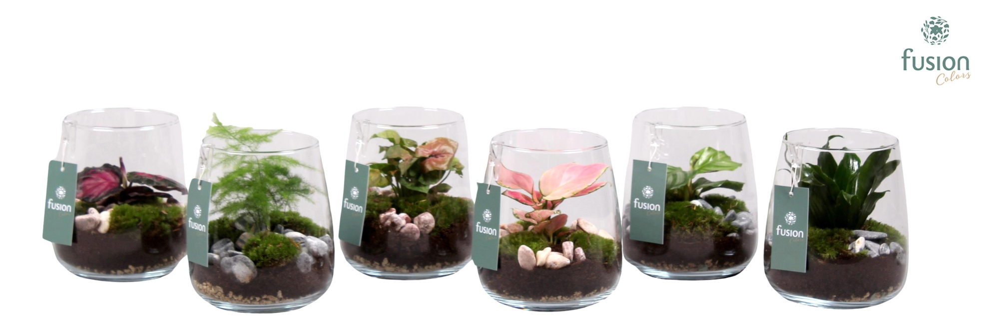 Glazen vaas Alzada met plantmix, D 15