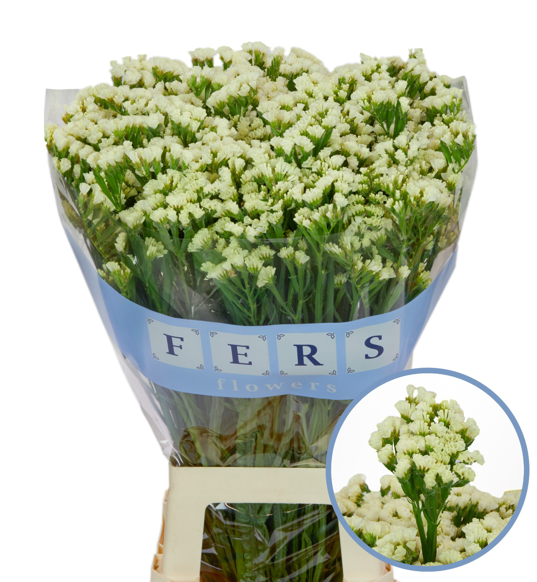 Статица Старлайт Вингз 80, шт.