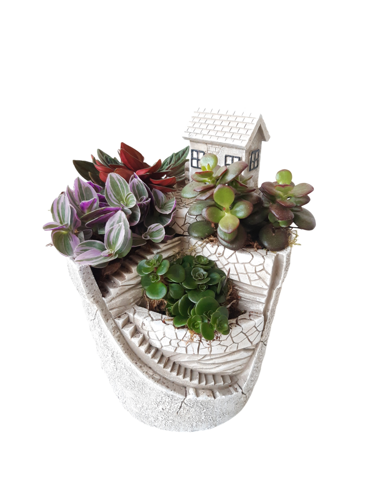 NEW 2026 MGP17 Mini Garden Pot 17cm, D 17