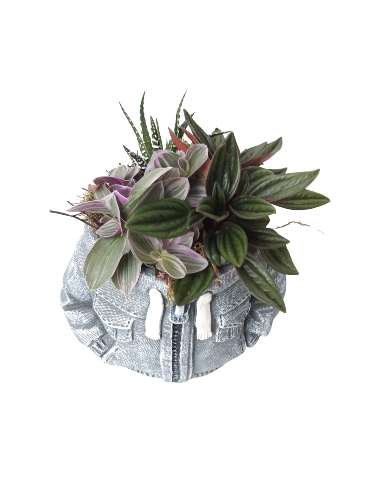 NEW 2026 JG14HD Jeans Hoodie 13cm Grey Mini plant mix, D 14