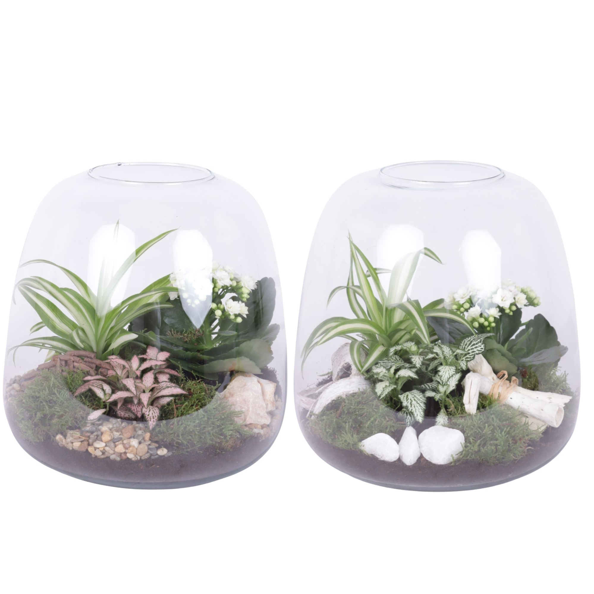 Yearround Arr. Indoor Glass Vase Terrarium Round Ø23cm 3PP, D 23 cm