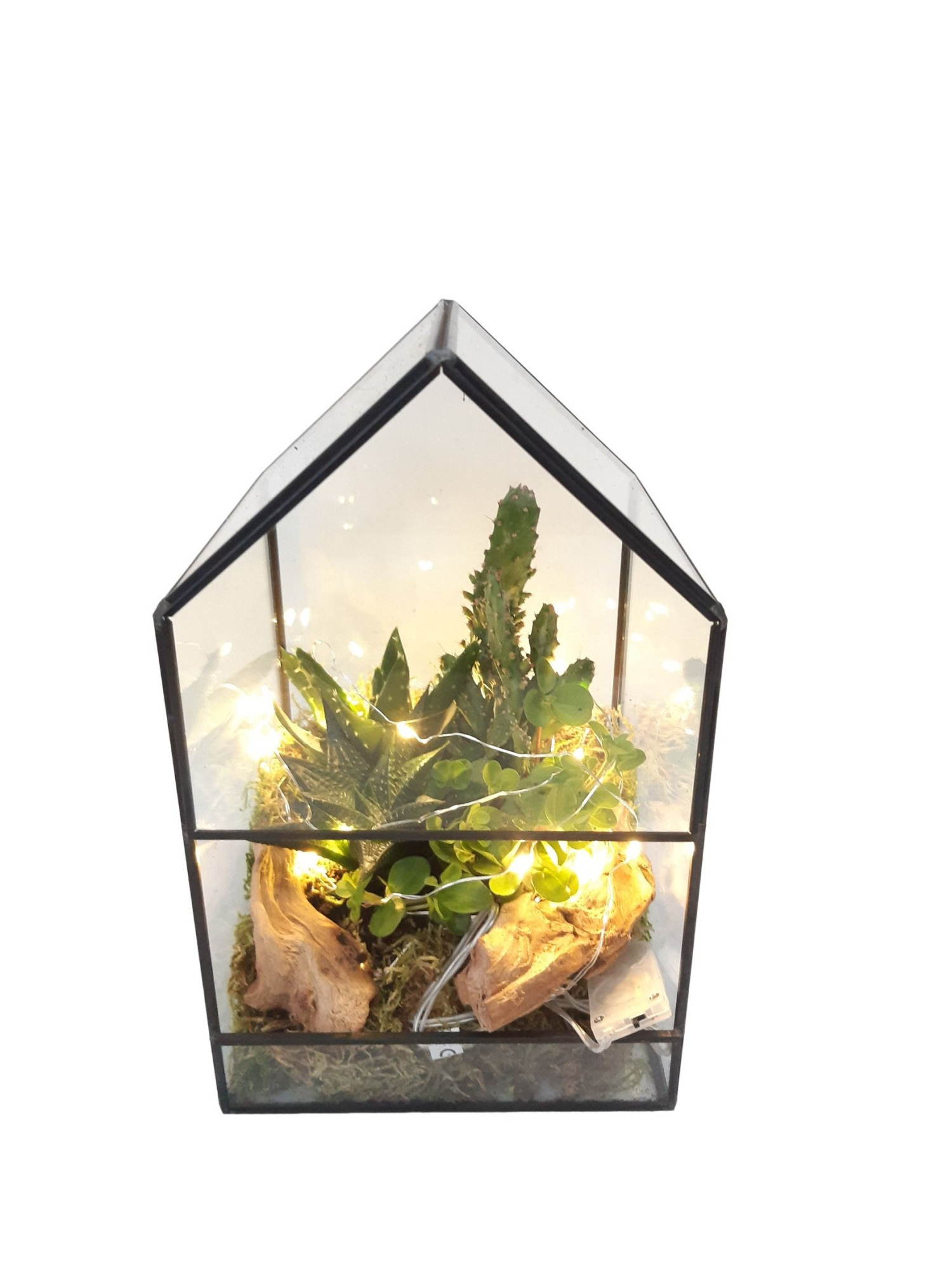 GHK14LED H24 Terrarium glashouse Groenmix + LED and Battery, D 14 cm