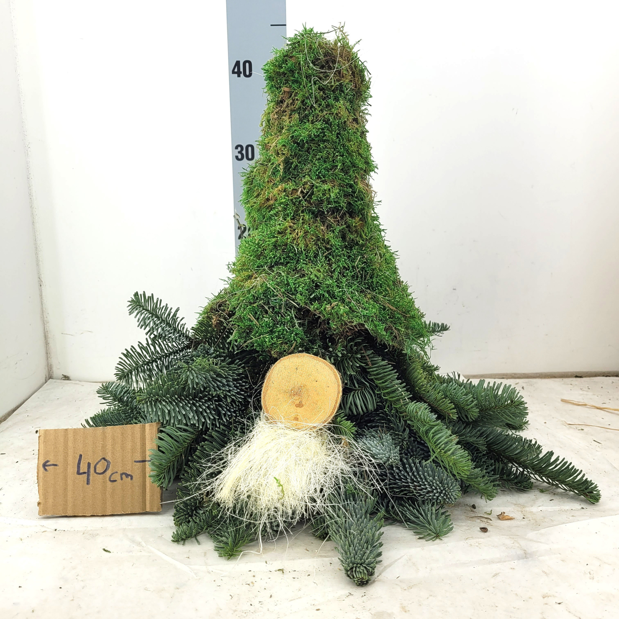 Мох Овериг, шт.