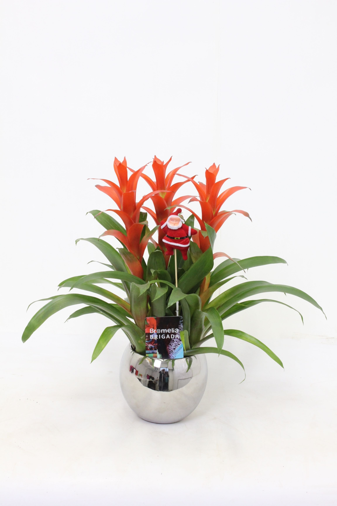 Ostara 3pp in Mirror BolPot & Santa, D 20 cm