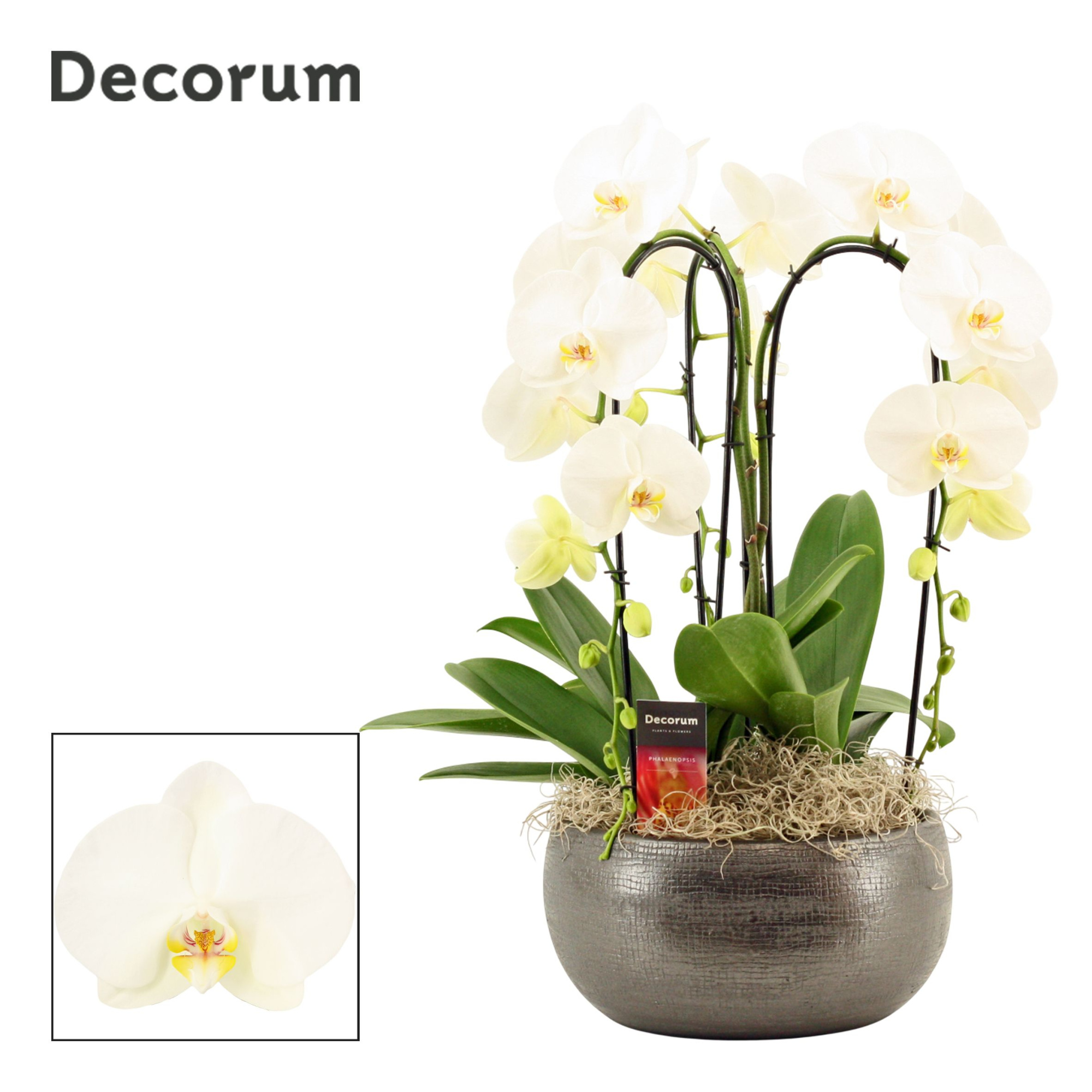 Nero cascade 3 tak symphony white (Deco-collection), D 27
