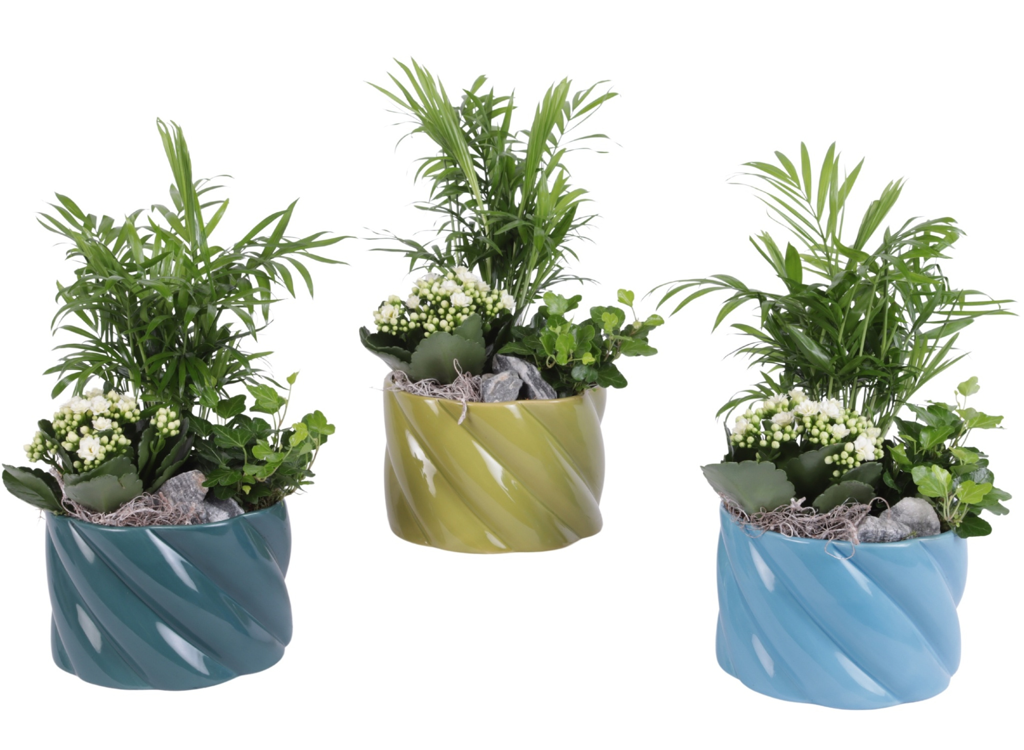 Yearround Arr. Indoor Ceramic Fresh Breeze FB674 Ø17cm 3PP, D 17