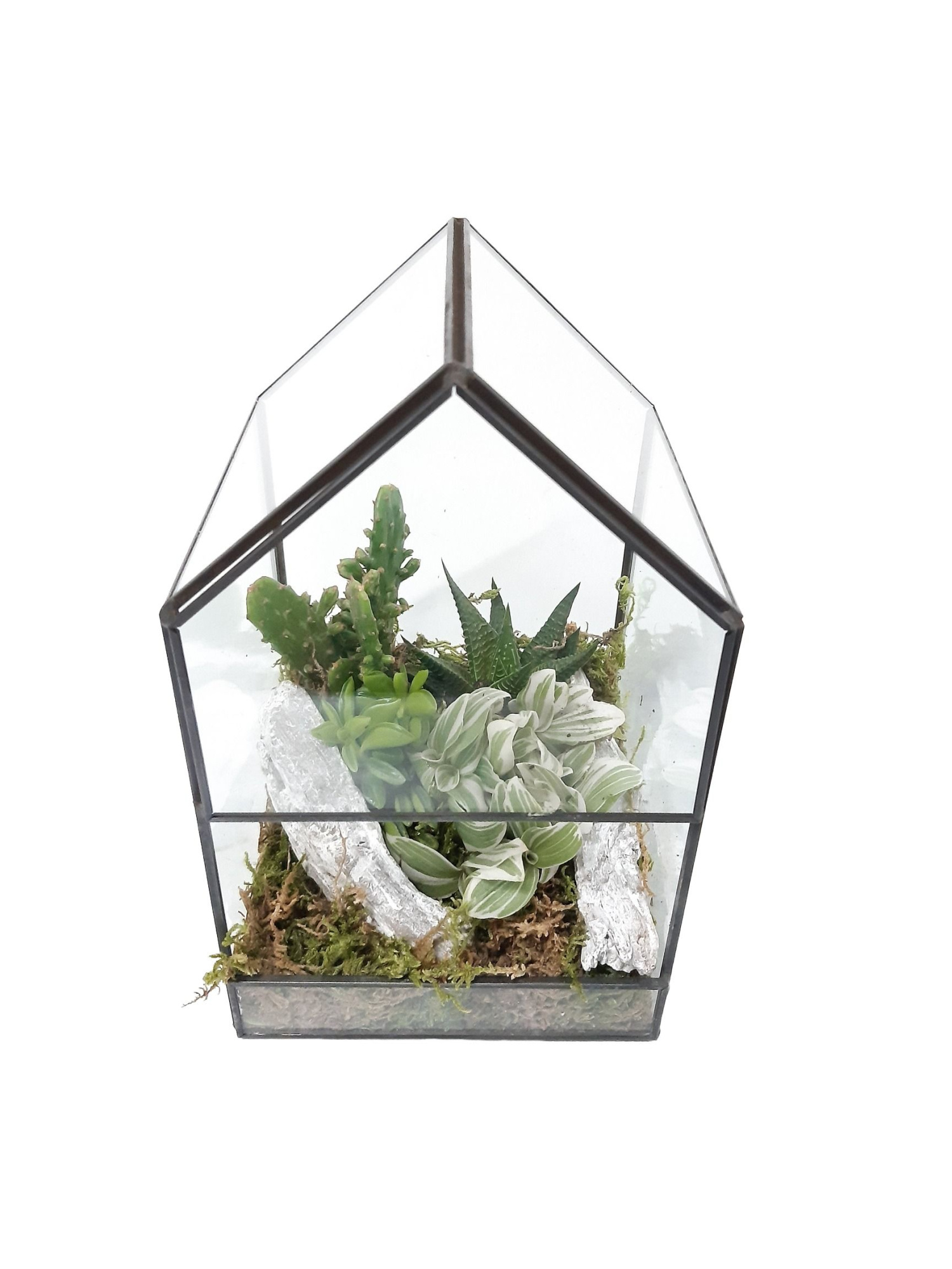 GHK14WHI H24 Terrarium glashouse Groenmix Whie deco, D 14 cm