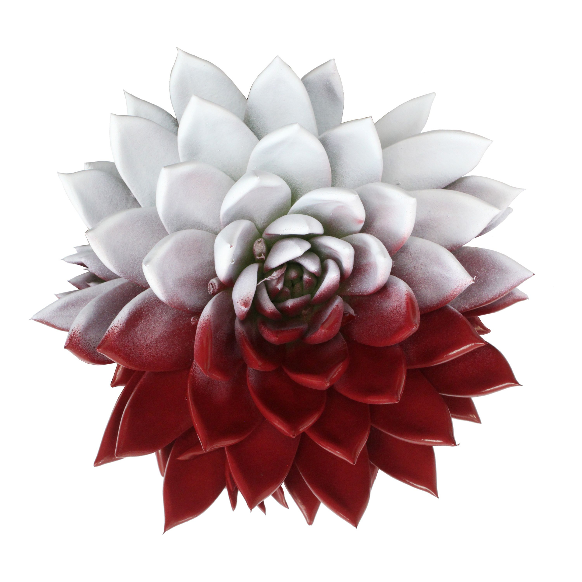 Miranda coloured flag Poland, D 10,5 cm