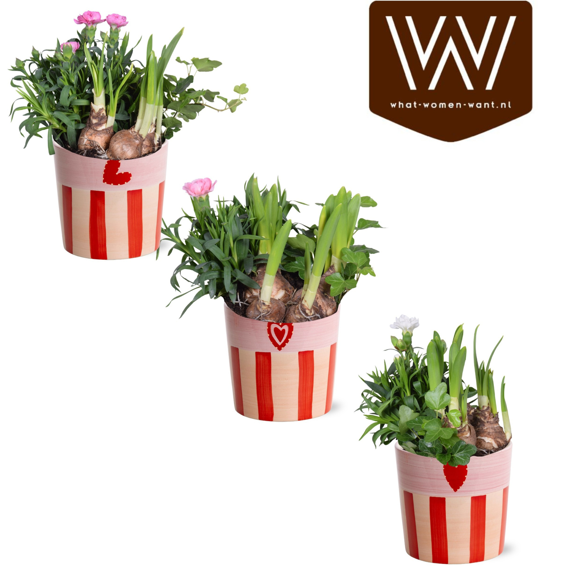 Collectie 'Sympathetic Moods' Arrangement in Keramiek Romee, D 12