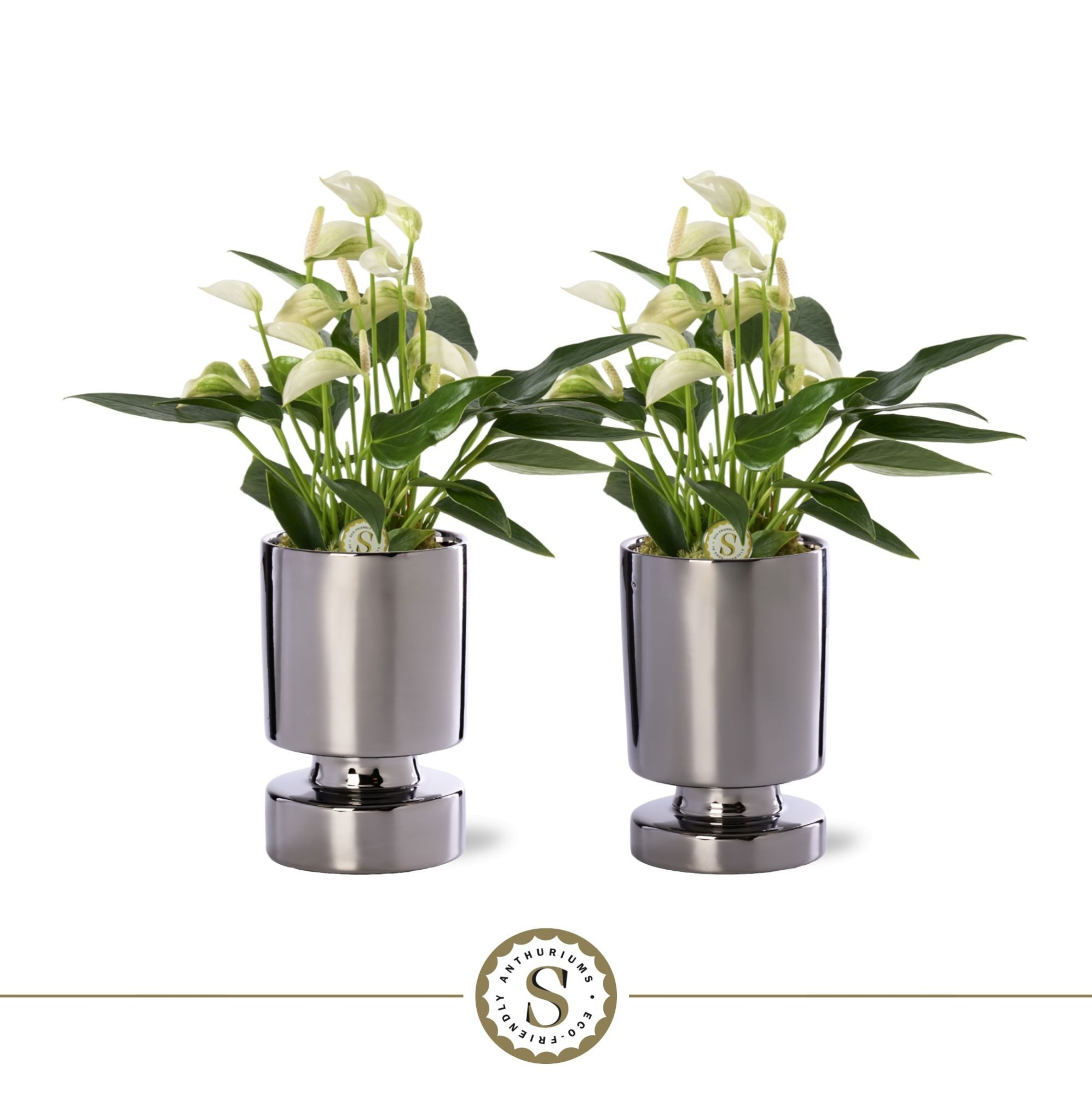 Stockholm Silver Keramiek 9cm White Champion, D 9 cm