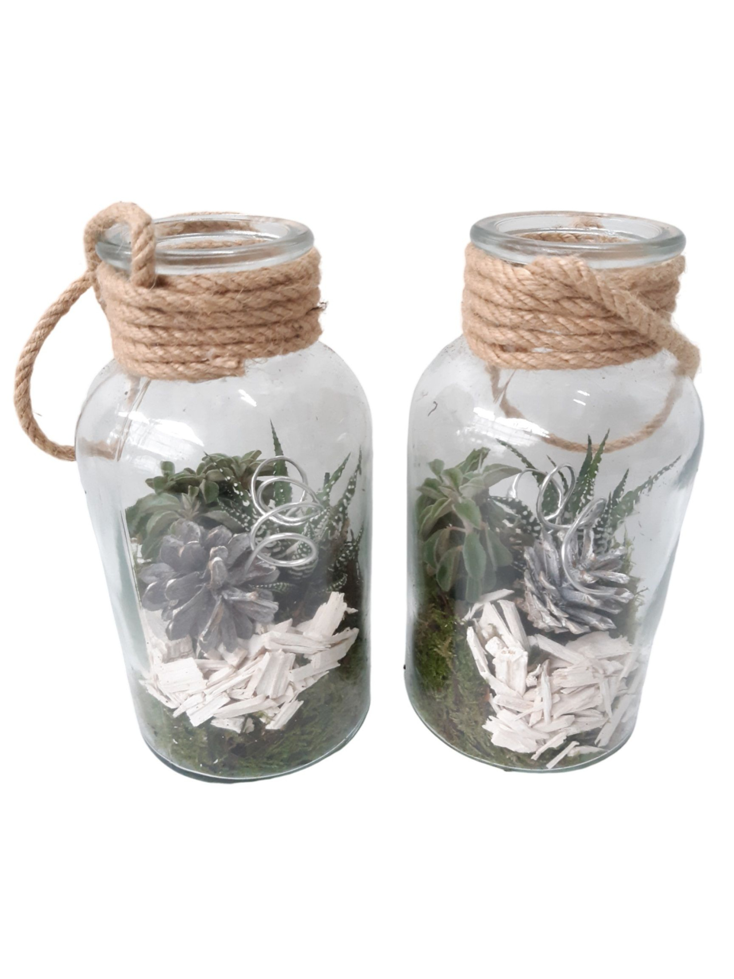 709 KST Fles10/20 Terrarium Succulentmix Kerst, D 10 cm