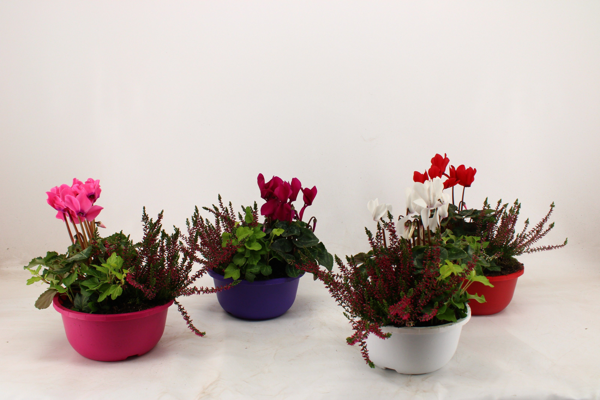 Hello Autumn trio in schaal 19 cm 'Falls', D 19 cm