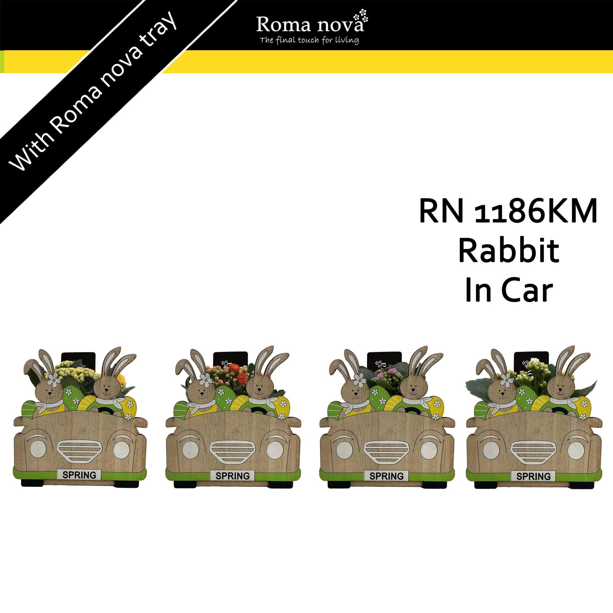 1186KM - Rabbit In Car (Kalanchoe mix), D 15