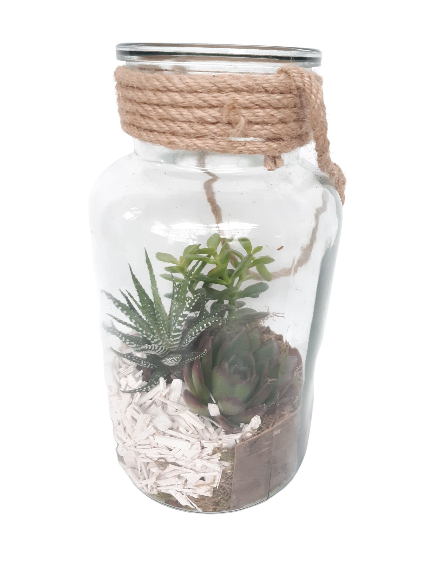 814 SUC Fles / Terrarium 14/26 mini Succulentmix, D 14 cm