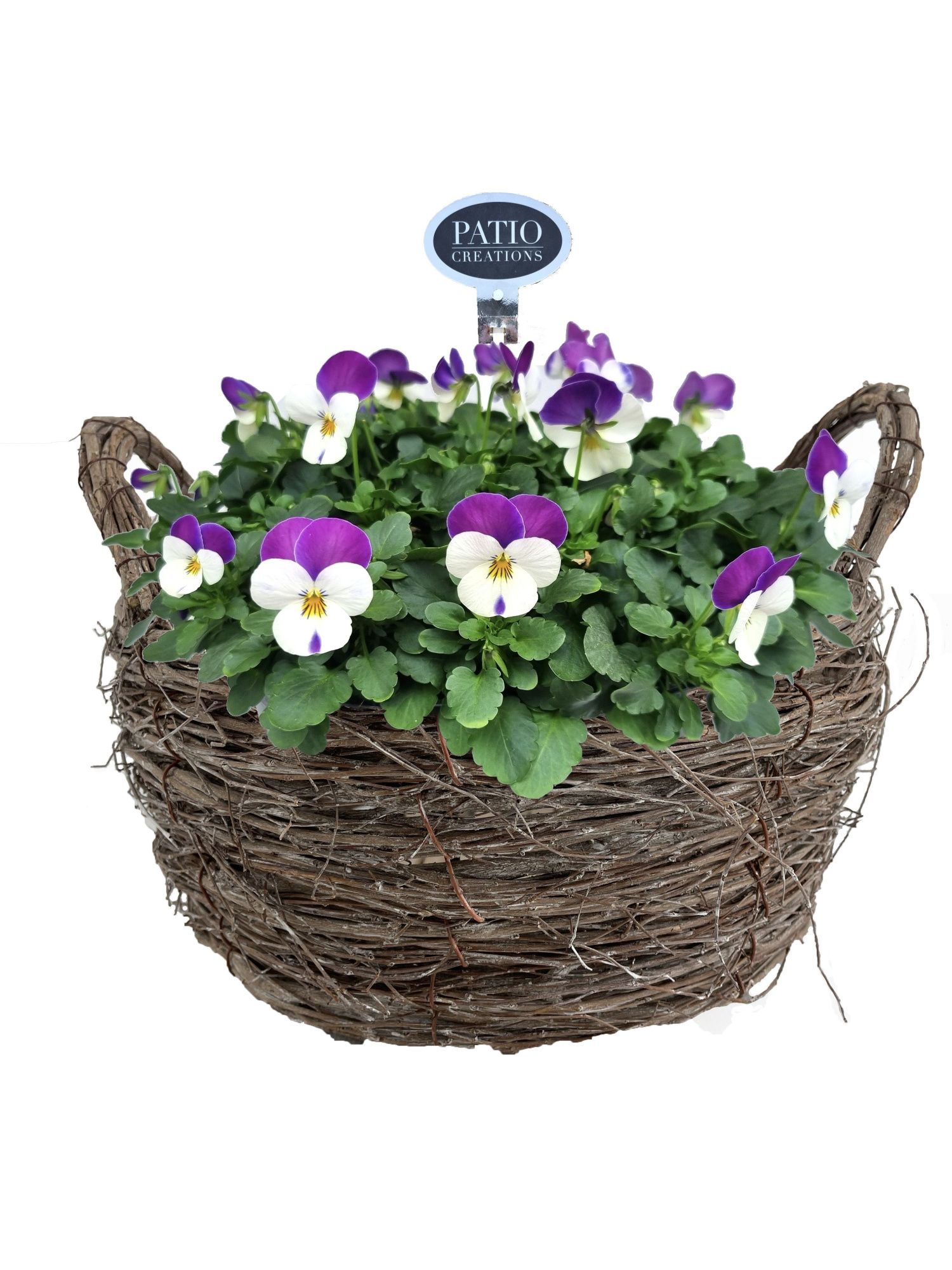 V832-9323 Viola mand handvat Jens, D 23