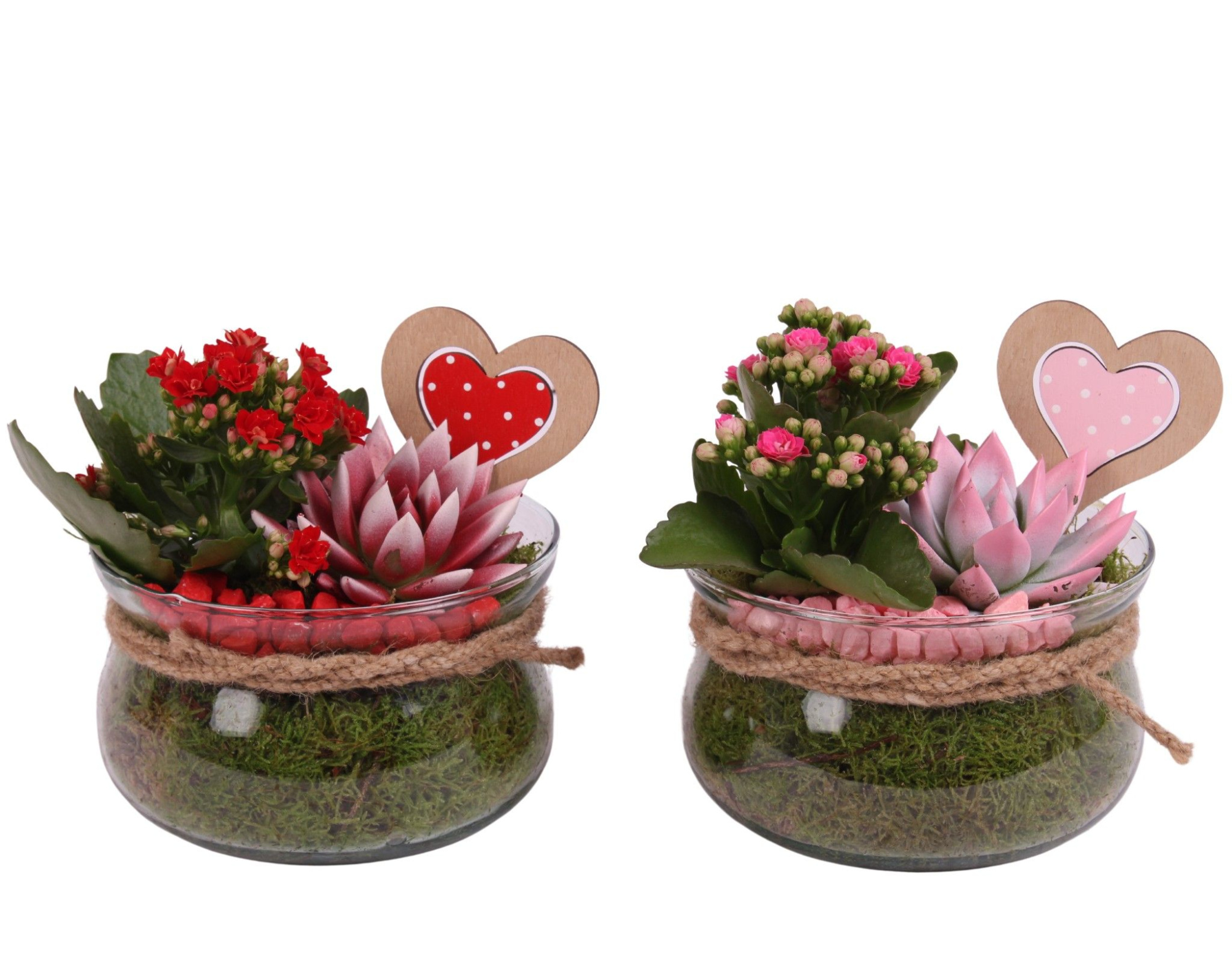 Valentine Arr. Indoor Glass Bowl with Rope Ø16cm 2PP, D 16