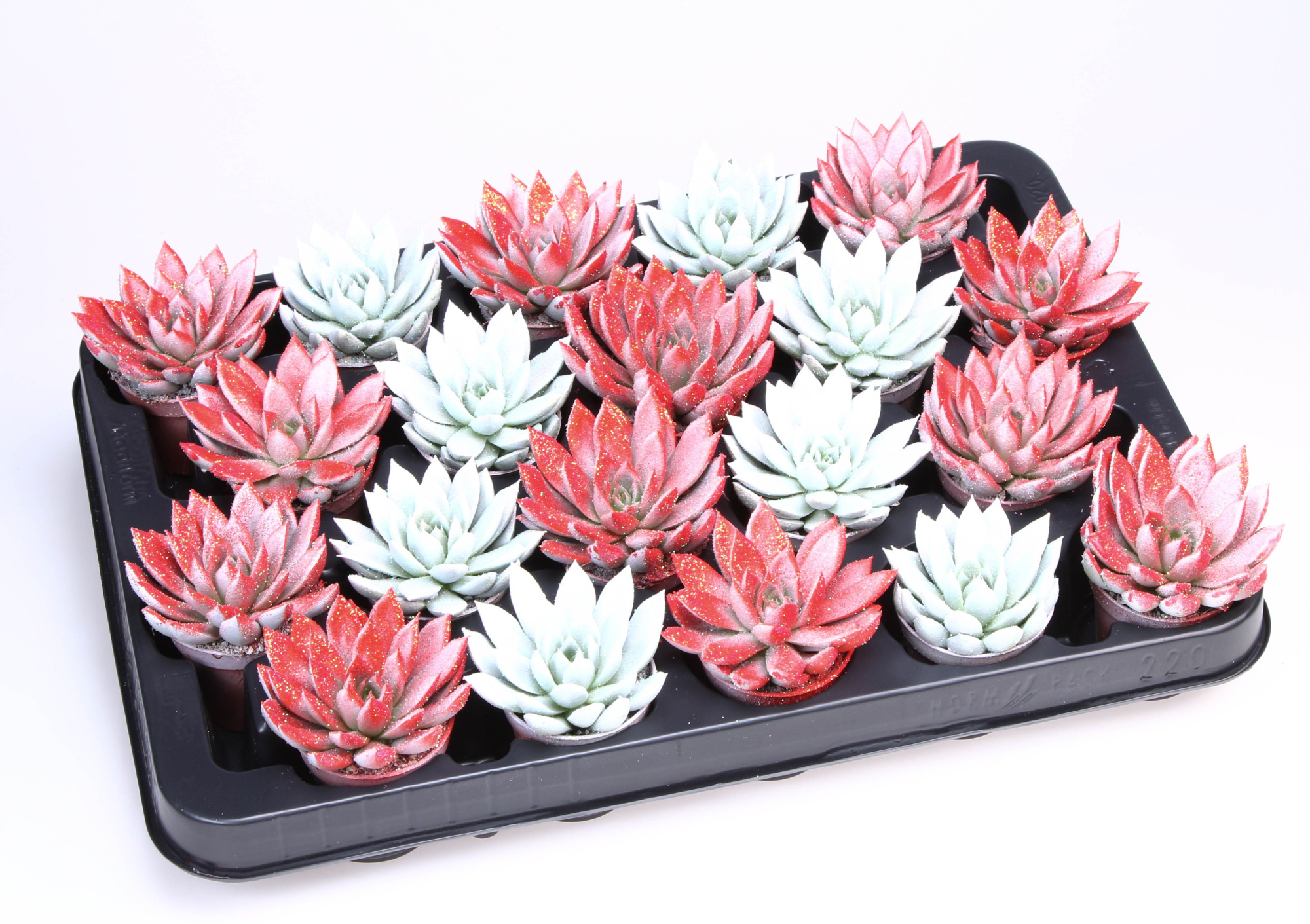 Miranda Valentine Glittermix Red/white, D 5,5 cm