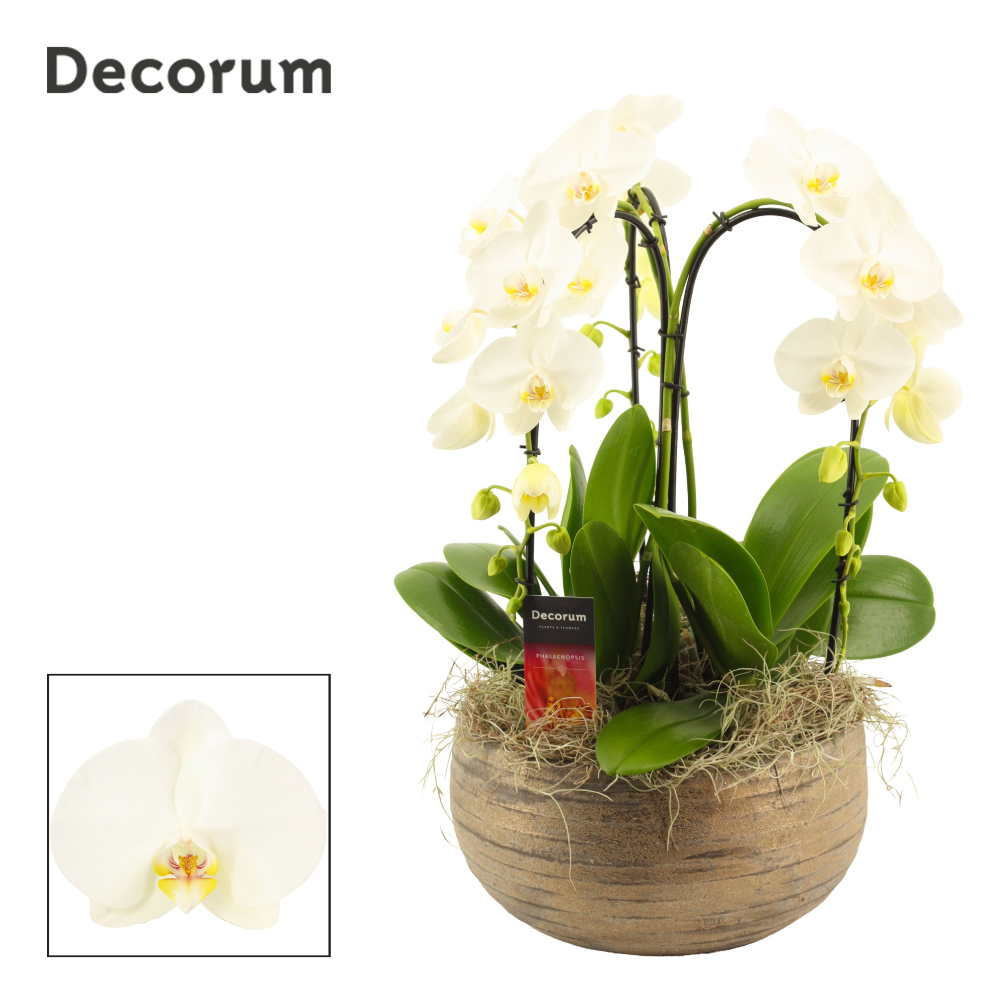 Oro cascade 3 tak symphony white(Deco-collection), D 27