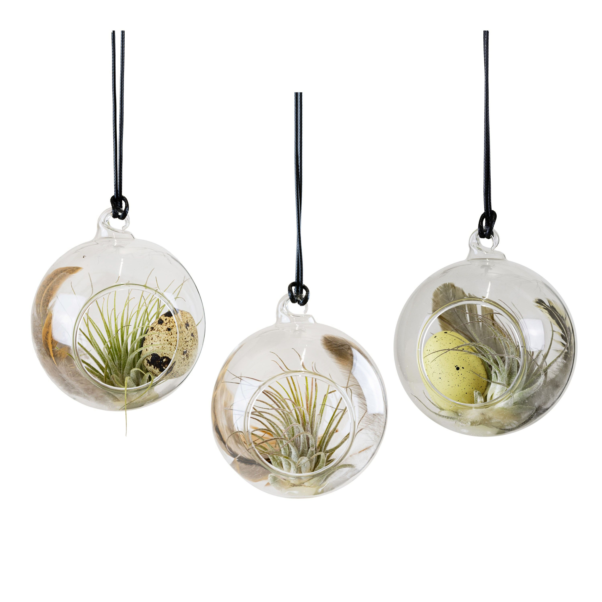 Easter Glass Bowl with Tillandsia and deco, D 6 cm