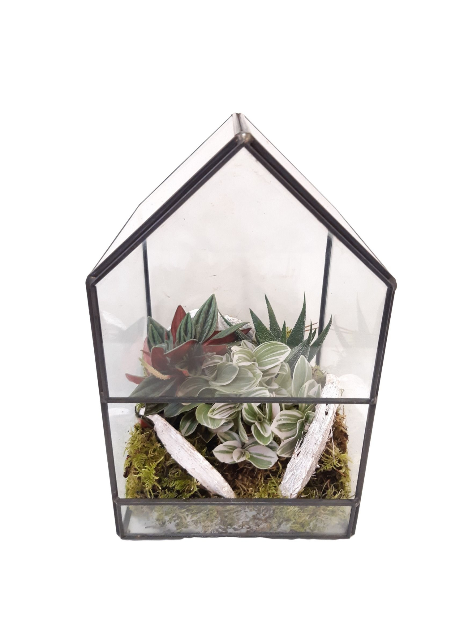 GHK14 H24 Terrarium glashouse Groenmix, D 14 cm